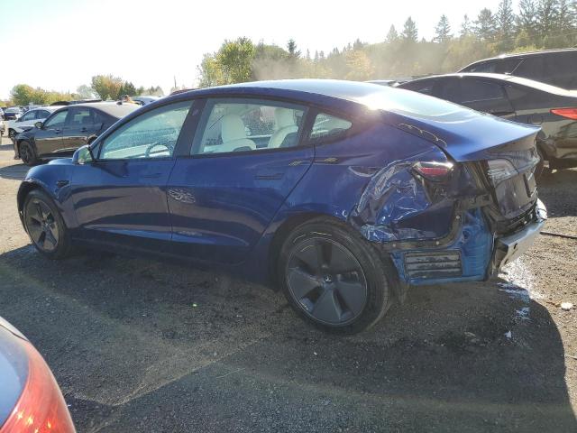 5YJ3E1EA2MF856896 - 2021 TESLA MODEL 3 蓝色 照片 2
