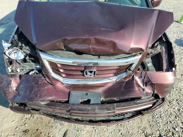 5FNRL38609B405265 - 2009 HONDA ODYSSEY EXL 勃艮第红 照片 12