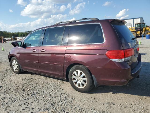 5FNRL38609B405265 - 2009 HONDA ODYSSEY EXL 勃艮第红 照片 2