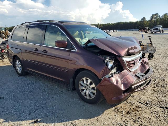 5FNRL38609B405265 - 2009 HONDA ODYSSEY EXL 勃艮第红 照片 4