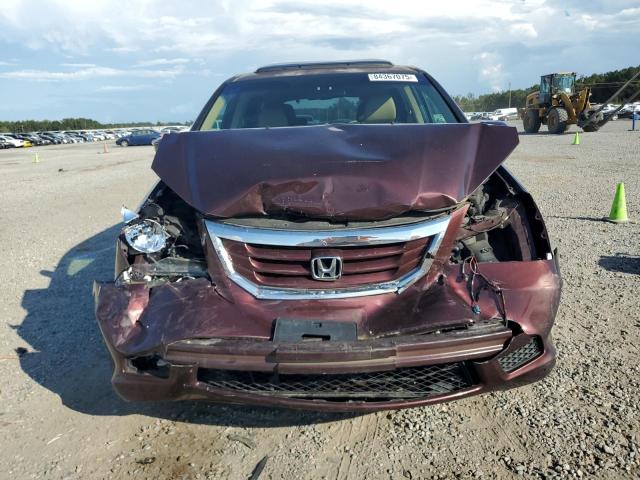 5FNRL38609B405265 - 2009 HONDA ODYSSEY EXL 勃艮第红 照片 5