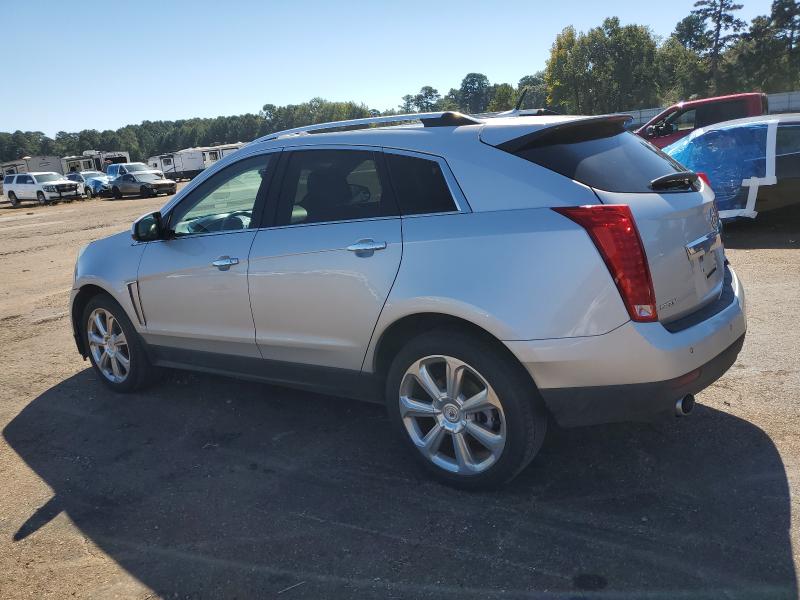 3GYFNEE31DS524701 - 2013 CADILLAC SRX PREMIUM COLLECTION Արծաթագույն լուսանկար 2