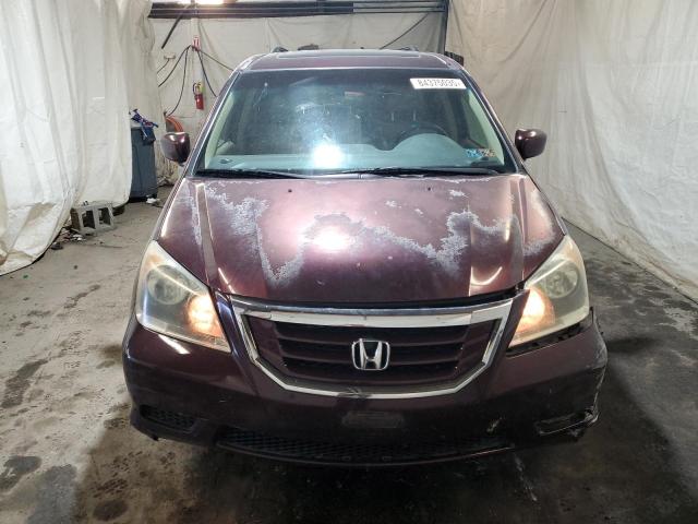 5FNRL3H74AB081640 - 2010 HONDA ODYSSEY EXL იასამნისფერი ფოტო 5