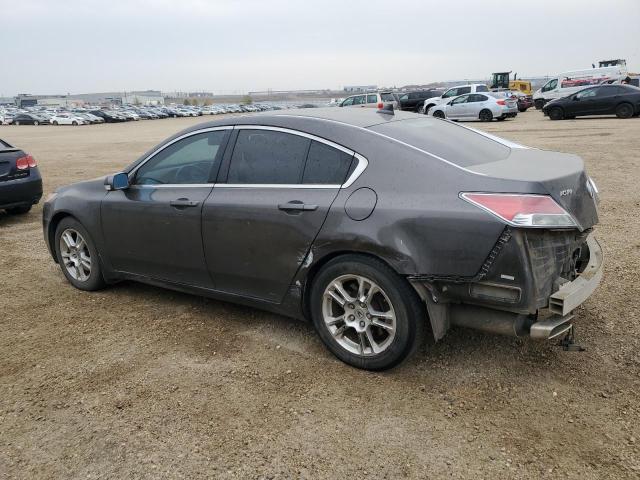 19UUA8F24AA800125 - 2010 ACURA TL 灰色 照片 2