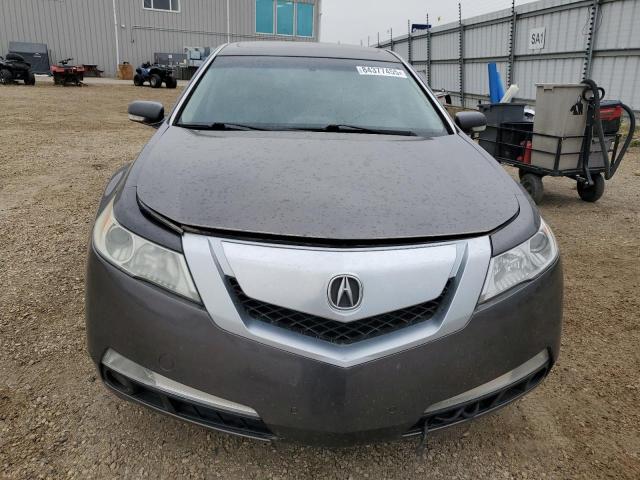19UUA8F24AA800125 - 2010 ACURA TL 灰色 照片 5
