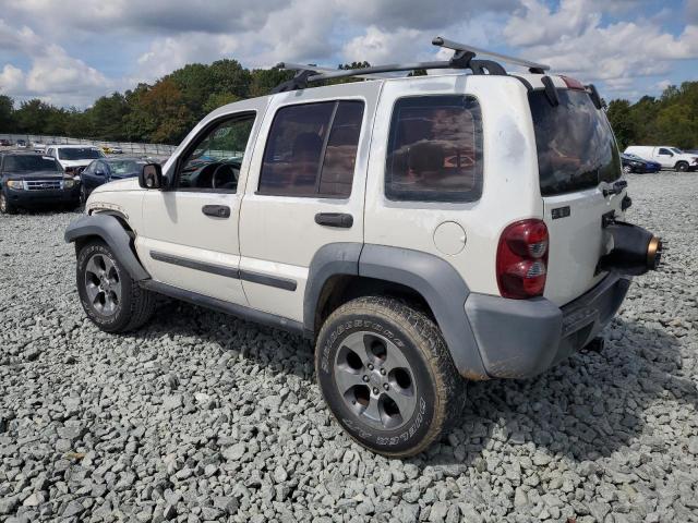 1J4GK48K96W159346 - 2006 JEEP LIBERTY SPORT Ağ foto 2