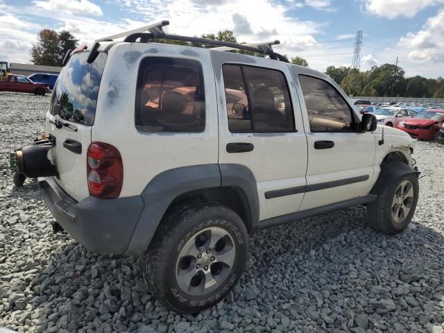 1J4GK48K96W159346 - 2006 JEEP LIBERTY SPORT Ağ foto 3