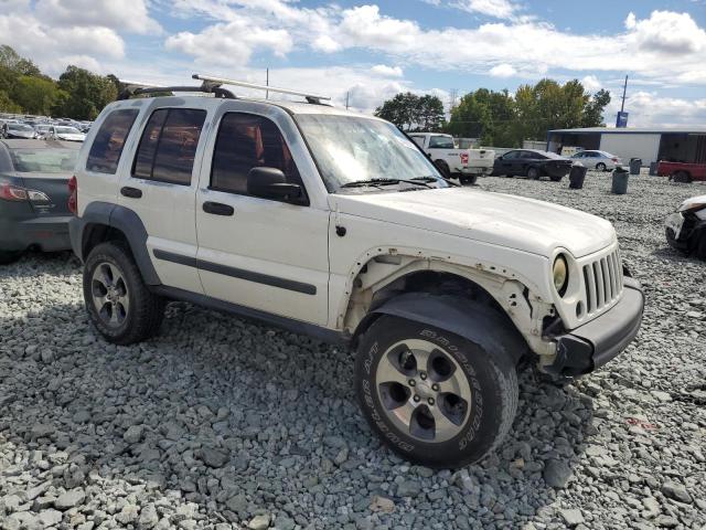 1J4GK48K96W159346 - 2006 JEEP LIBERTY SPORT Ağ foto 4
