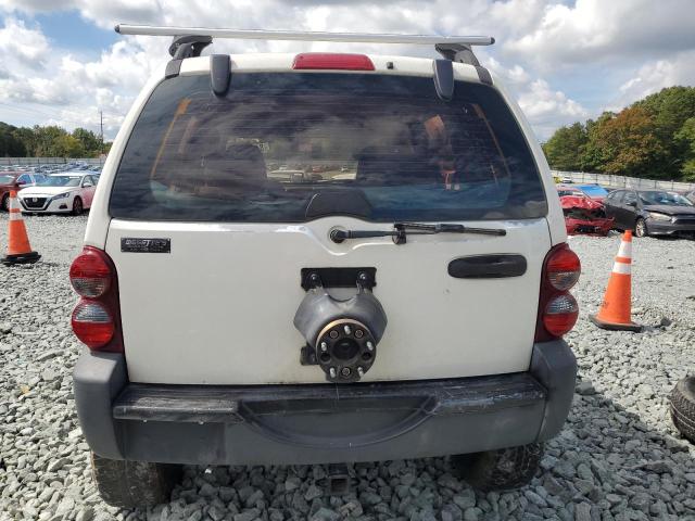 1J4GK48K96W159346 - 2006 JEEP LIBERTY SPORT Ağ foto 6