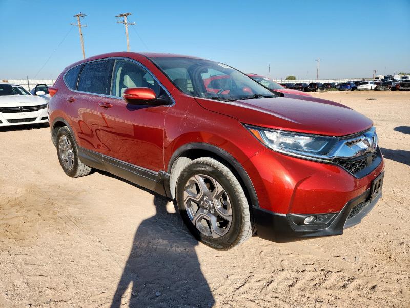 5J6RW1H55KL006416 - 2019 HONDA CR-V EX أحمر صورة 4