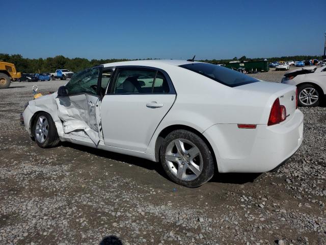 1G1ZB5E17BF320893 - 2011 CHEVROLET MALIBU LS Ağ foto 2