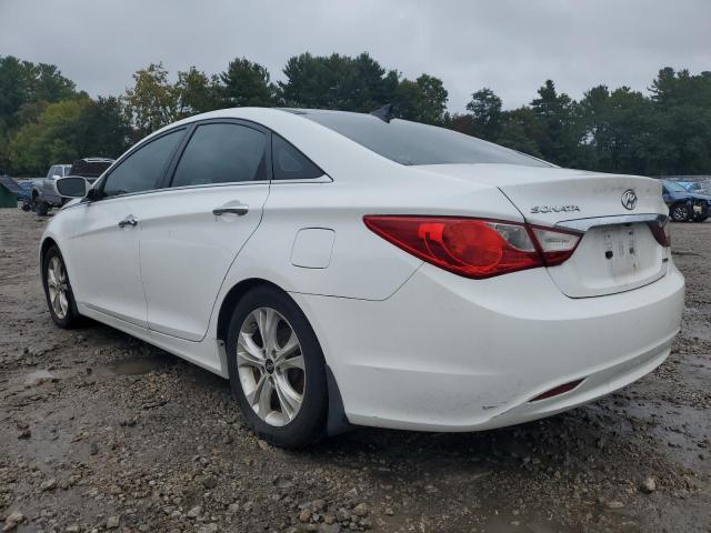 5NPEC4AC6DH612029 - 2013 HYUNDAI SONATA SE WHITE photo 2