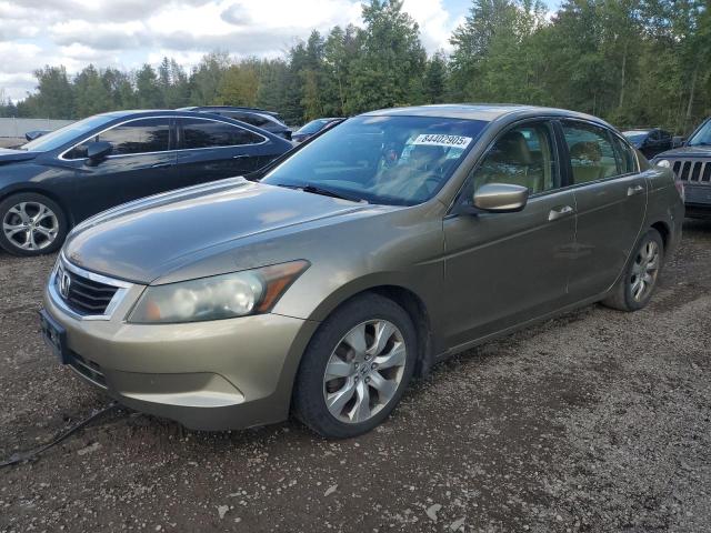 2008 HONDA ACCORD EXL, 