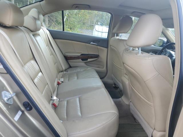 1HGCP26858A807204 - 2008 HONDA ACCORD EXL 金色 照片 10