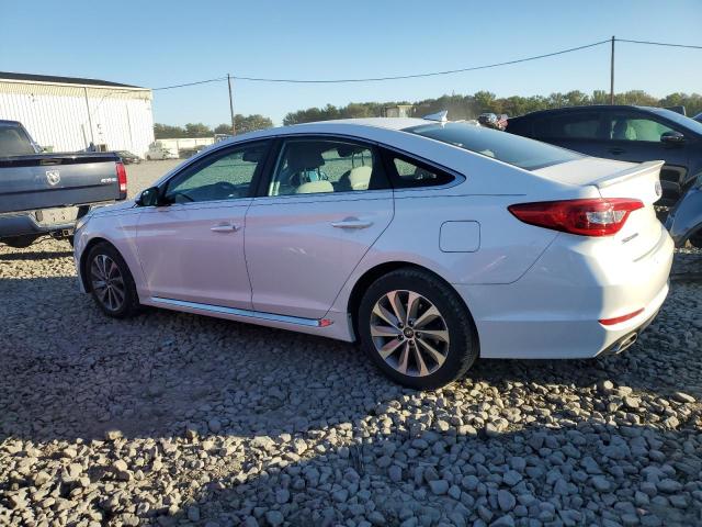 5NPE34AF1GH299552 - 2016 HYUNDAI SONATA SPORT WHITE photo 2