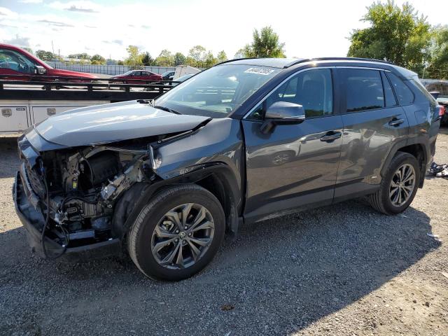 2025 TOYOTA RAV4 XLE, 
