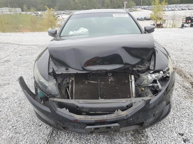 1HGCS12829A008688 - 2009 HONDA ACCORD EXL 黑色 照片 5