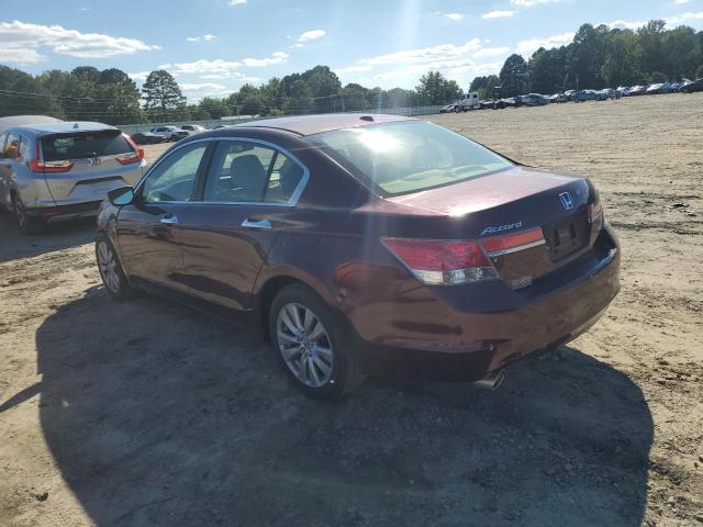 1HGCP3F87CA021466 - 2012 HONDA ACCORD EXL BURGUNDY photo 2