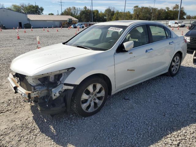 2010 HONDA ACCORD EXL, 