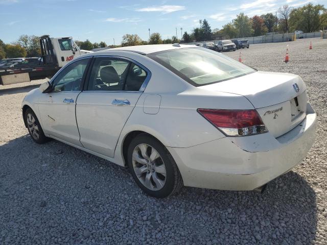 5KBCP3F83AB016561 - 2010 HONDA ACCORD EXL WHITE photo 2