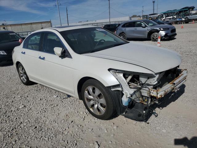 5KBCP3F83AB016561 - 2010 HONDA ACCORD EXL WHITE photo 4