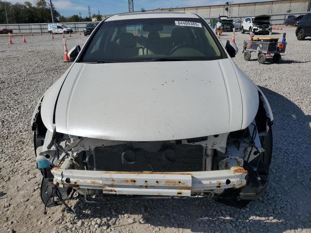 5KBCP3F83AB016561 - 2010 HONDA ACCORD EXL WHITE photo 5