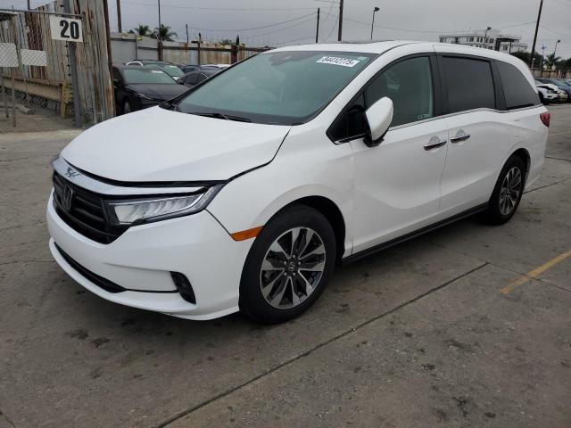 2024 HONDA ODYSSEY EXL, 