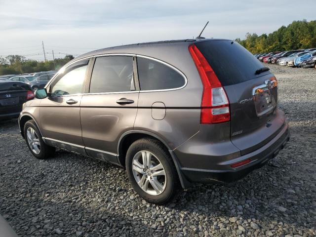 5J6RE4H78BL065997 - 2011 HONDA CR-V EXL თაფლისფერი ფოტო 2