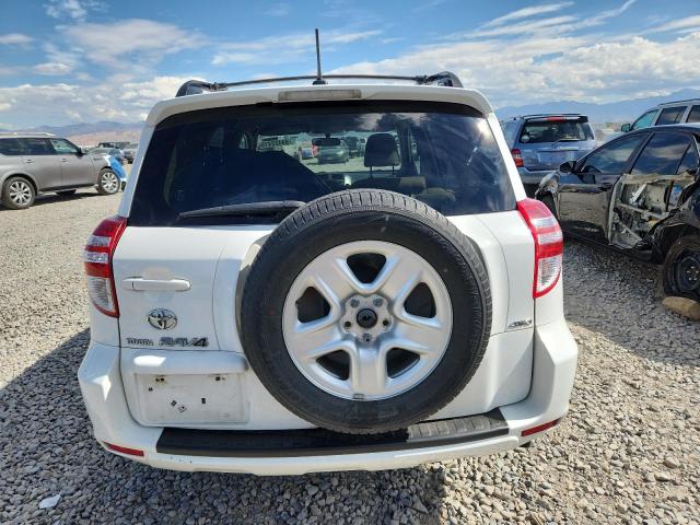 JTMBF4DV2AD027067 - 2010 TOYOTA RAV4 白色 照片 6
