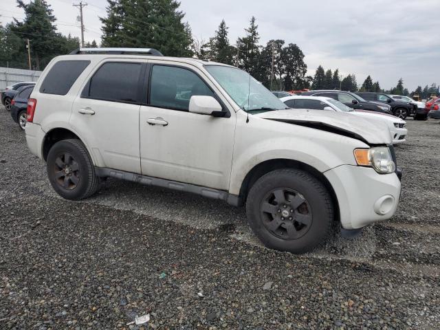 1FMCU04719KB27037 - 2009 FORD ESCAPE LIMITED თეთრი ფოტო 4