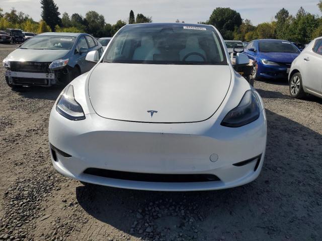 7SAYGDEF0NF540026 - 2022 TESLA MODEL Y 白色 照片 5