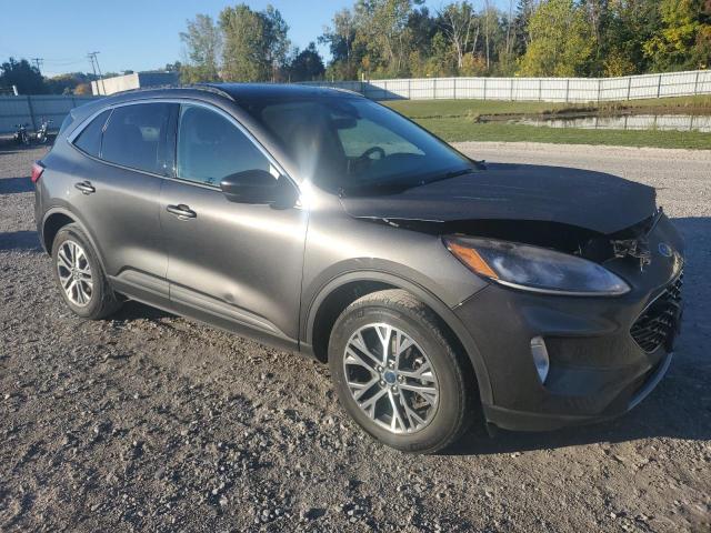 1FMCU9H68LUA08127 - 2020 FORD ESCAPE SEL GRAY photo 4