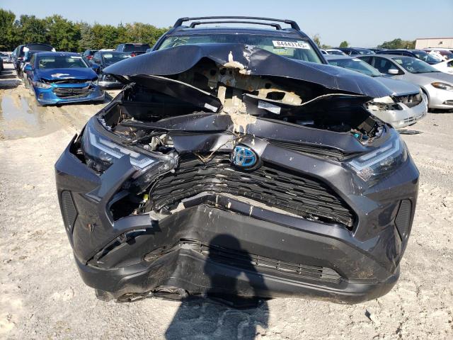 2T3RWRFV3RW203549 - 2024 TOYOTA RAV4 XLE Gris foto 5