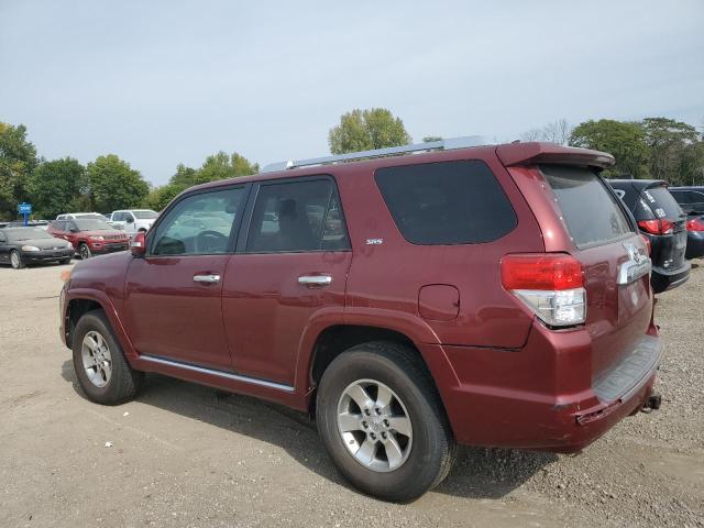 JTEBU5JR6A5008935 - 2010 TOYOTA 4RUNNER SR5 BURGUNDY photo 2