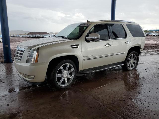 2008 CADILLAC ESCALADE LUXURY, 