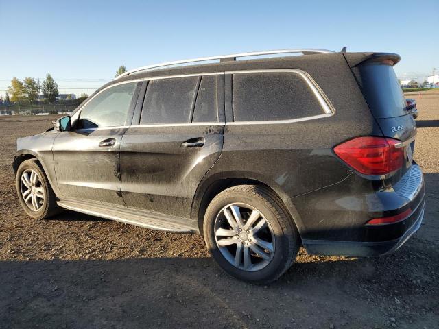 4JGDF7CE7DA226256 - 2013 MERCEDES-BENZ GL 450 4MATIC BLACK photo 2