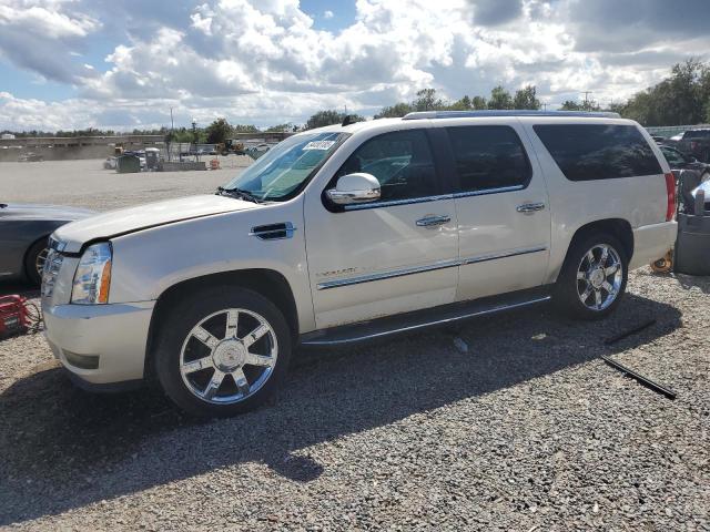 2011 CADILLAC ESCALADE ESV LUXURY, 