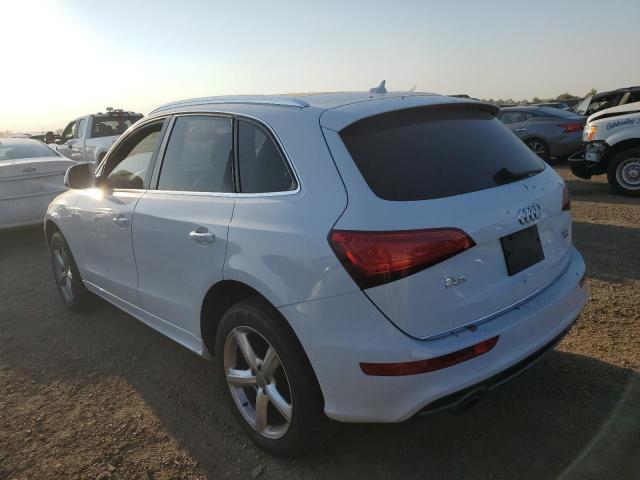 WA1M2AFPXHA071468 - 2017 AUDI Q5 PREMIUM PLUS Ağ foto 2