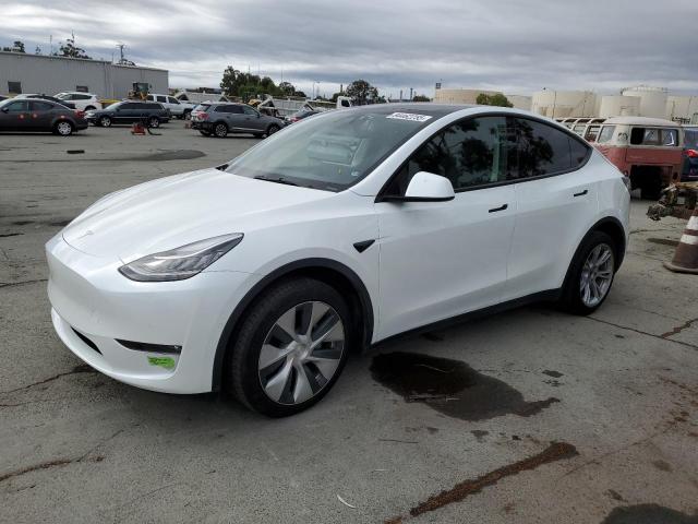 2023 TESLA MODEL Y, 