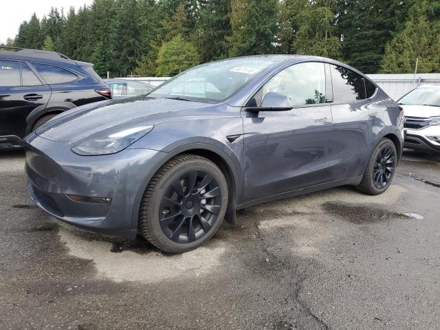2023 TESLA MODEL Y, 