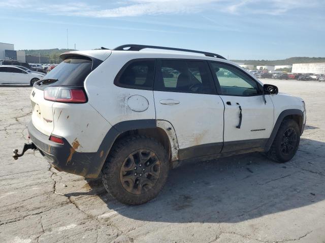 1C4PJMBX2KD231250 - 2019 JEEP CHEROKEE TRAILHAWK WHITE photo 3