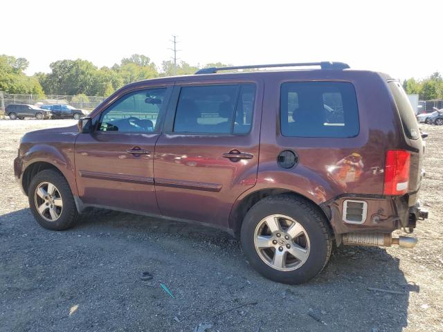 5FNYF4H4XBB013357 - 2011 HONDA PILOT EX Bordo foto 2