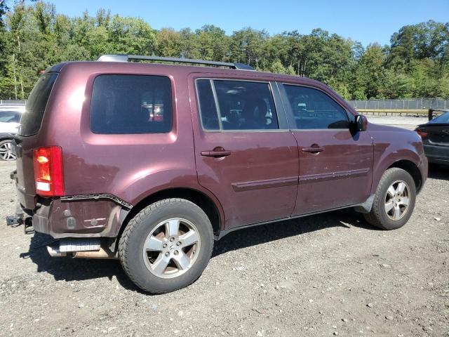 5FNYF4H4XBB013357 - 2011 HONDA PILOT EX Bordo foto 3
