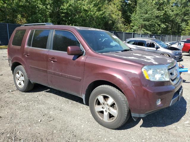 5FNYF4H4XBB013357 - 2011 HONDA PILOT EX Bordo foto 4