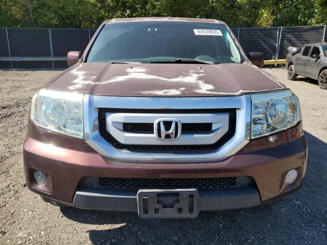 5FNYF4H4XBB013357 - 2011 HONDA PILOT EX Bordo foto 5