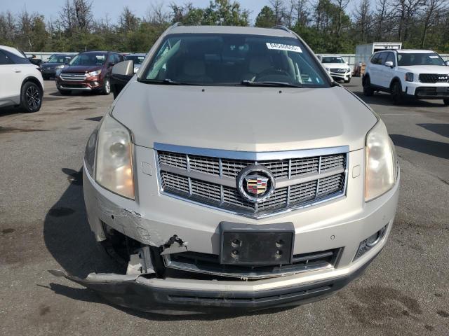 3GYFNBEY6AS547316 - 2010 CADILLAC SRX PERFORMANCE COLLECTION Արծաթագույն լուսանկար 5