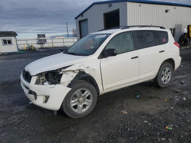 JTMBF4DV6AD026326 - 2010 TOYOTA RAV4 WHITE photo 1
