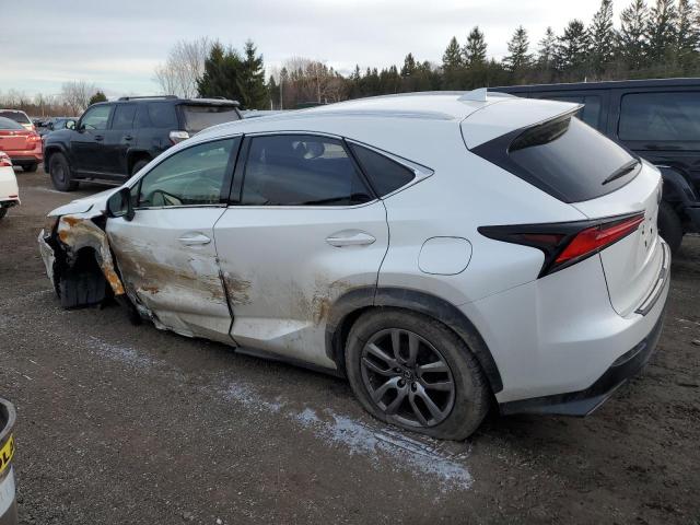 JTJBARBZ5K2207204 - 2019 LEXUS NX 300 BASE თეთრი ფოტო 2
