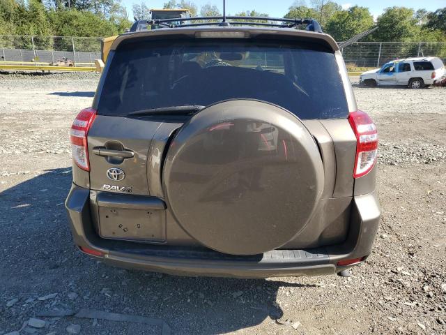 2T3KF4DV4BW073066 - 2011 TOYOTA RAV4 თაფლისფერი ფოტო 6