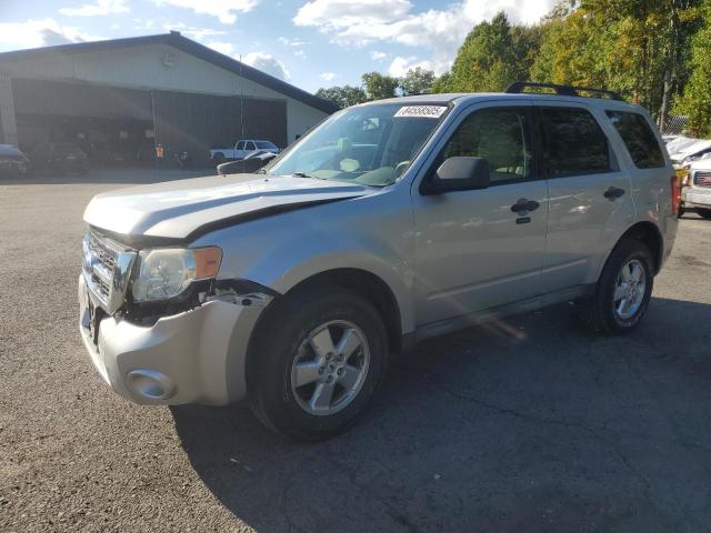 2009 FORD ESCAPE XLT, 